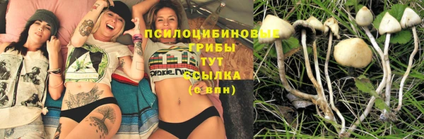 гашик Нязепетровск