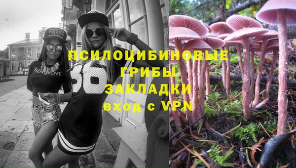 МДПВ Новокубанск