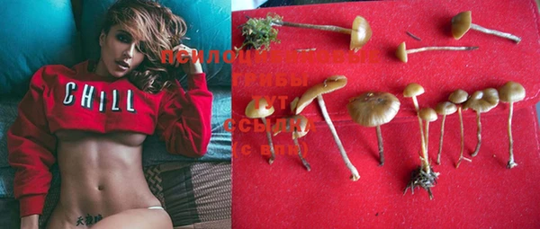 не бодяженный Новодвинск