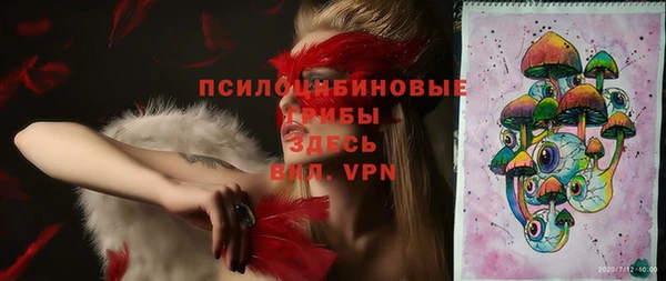 спиды Няндома