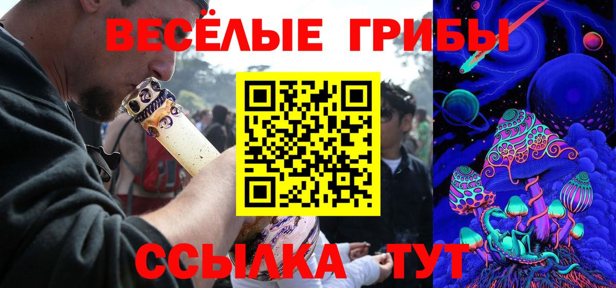 Галлюциногенные грибы Cubensis Шарыпово